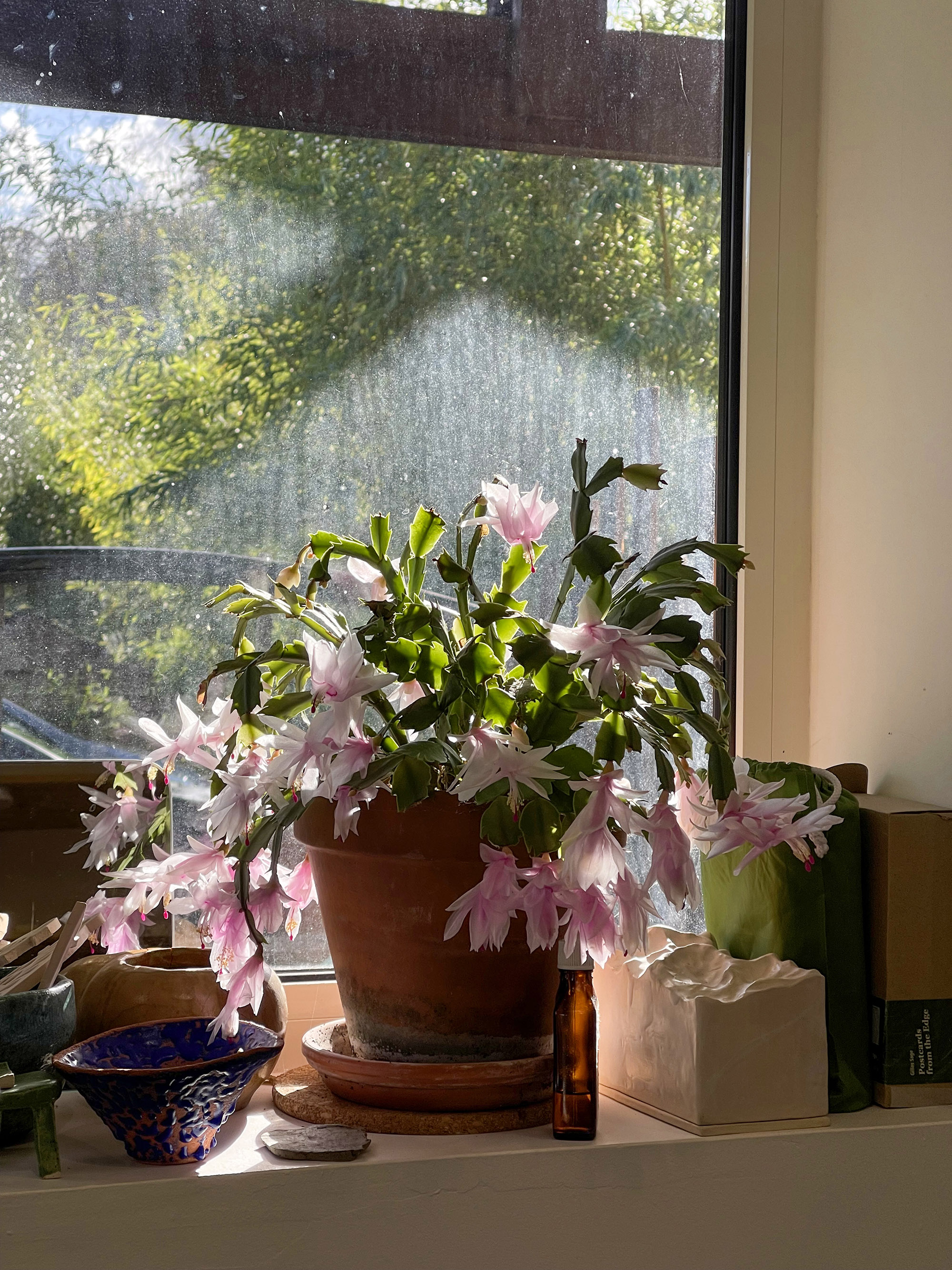 atelier de ceramique 1.jpeg